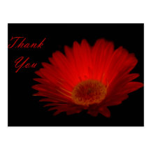 Thank You - Gerber Postcards
