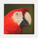 Thank You Gift Fridge Magnet