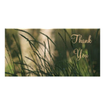 Thank You Grass in Wind Picture Card