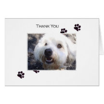 Thank You Greeting Cards