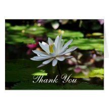 Thank you Note Greeting Card