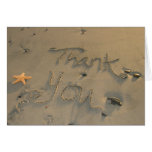 Thank You Note - Starfish Greeting Cards