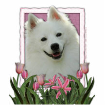 Thank You - Pink Tulips - American Eskimo Photo Sculpture