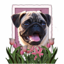 Thank You - Pink Tulips - Pug Photo Cut Out