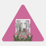 Thank You - Pink Tulips - Weimeraner - Golden Eyes Stickers