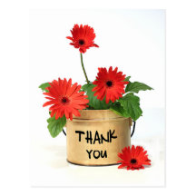 Thank You Red Gerbera Daisy Flower Pot Post Card