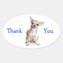 Thank You Smiling Chihuahua  Sticker