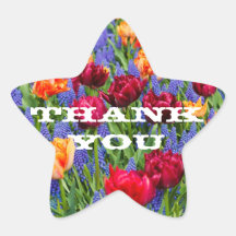 THANK YOU STAR STICKER