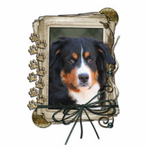 Thank You - Stone Paws - Bernese Mountain Dog Cut Out