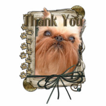 Thank You - Stone Paws - Brussels Griffon Photo Cut Out