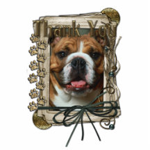 Thank You - Stone Paws - Bulldog Acrylic Cut Out