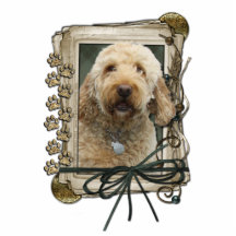 Thank You - Stone Paws - GoldenDoodle Acrylic Cut Out