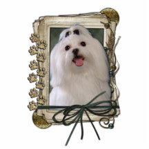 Thank You - Stone Paws - Maltese Cut Out