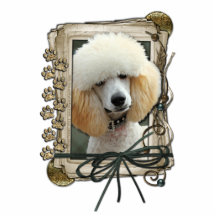 Thank You - Stone Paws - Poodle - Apricot Acrylic Cut Out
