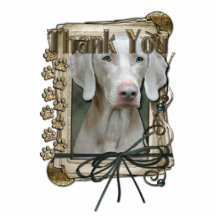 Thank You - Stone Paws - Weimeraner Photo Sculpture