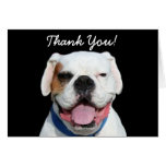 Thank You White Boxer greeting card