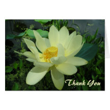 Thank You yellow water lily flower Card