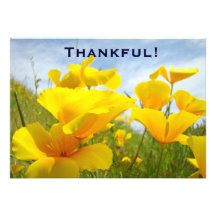 Thankful! Invitations Custom Volunteers Lunch