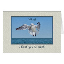 Thanks You Card with Laughing Gull Bird