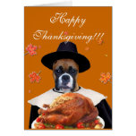 Thanksgiving boxer dog greeting card