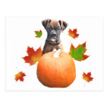 Thanksgiving boxer puppy postcard