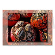Thanksgiving Card