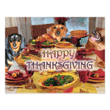 Thanksgiving Dachshunds Announcement