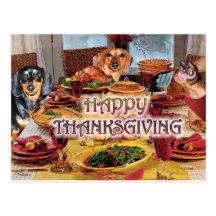 Thanksgiving Dachshunds Postcard