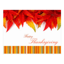 Thanksgiving Day Postcard