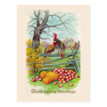 "Thanksgiving Greetings" Postcard