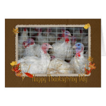 Thanksgiving Turkey Greeting Card