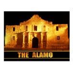 The Alamo, San Antonio, Texas Postcard
