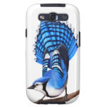 The Alert Blue Jay Bird Case