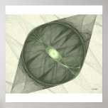 The all seeing eye poster