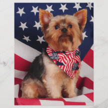 The American Yorkie Flyer