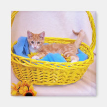 the basket case Magnet