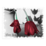 The Beauty Of Gravity - Miss you Post Card