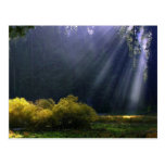The Beauty of Mother Nature Post Cards