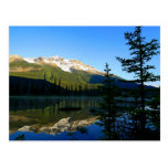The Beauty of Mother Nature Postcards