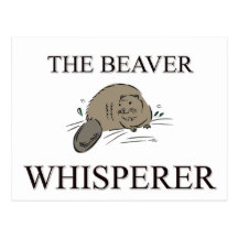The Beaver Whisperer Post Cards