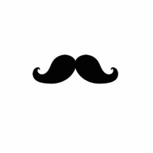 THE BEST BLACK MUSTACHE PHOTO SCULPTURES