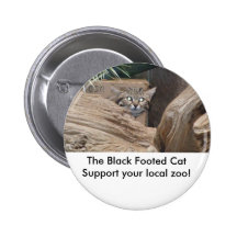 The Black Footed Cat Button