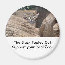 The Black Footed Cat Magnet