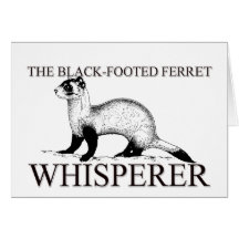The Black-Footed Ferret Whisperer Greeting Card