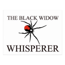 The Black Widow Whisperer Postcard