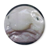 The Blobfish Fridge Magnets