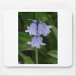 The bluebell mouse pad