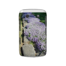 "The Border" Blackberry Bold Case