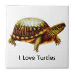 The Box Turtle Customisable Tile