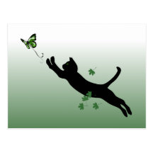 The Cat & The Butterfly Post Card
